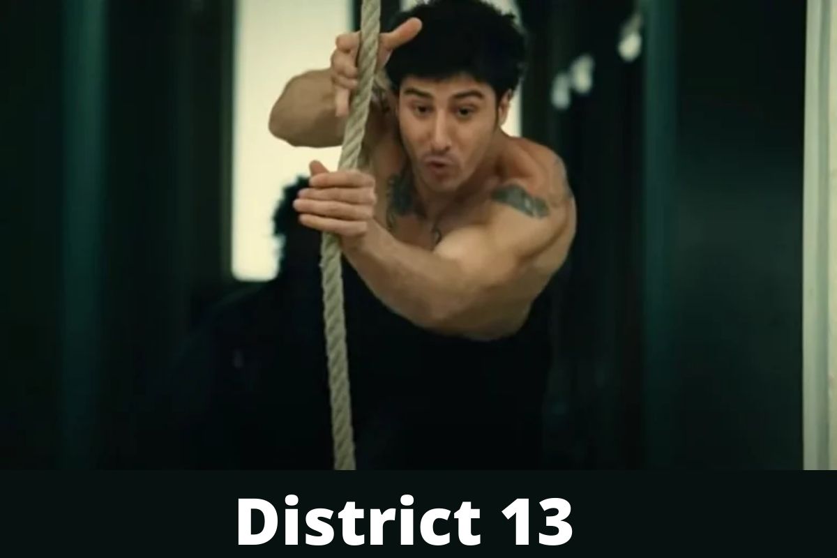 District 13