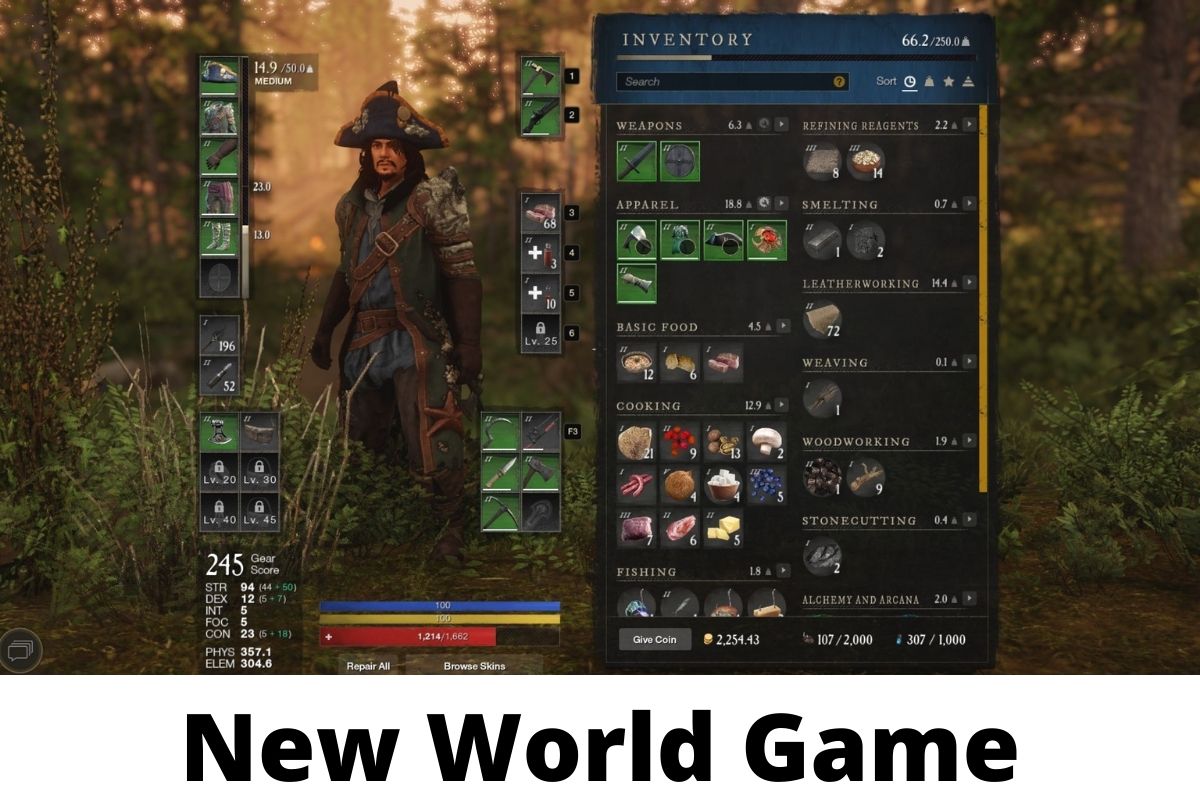 New World Game