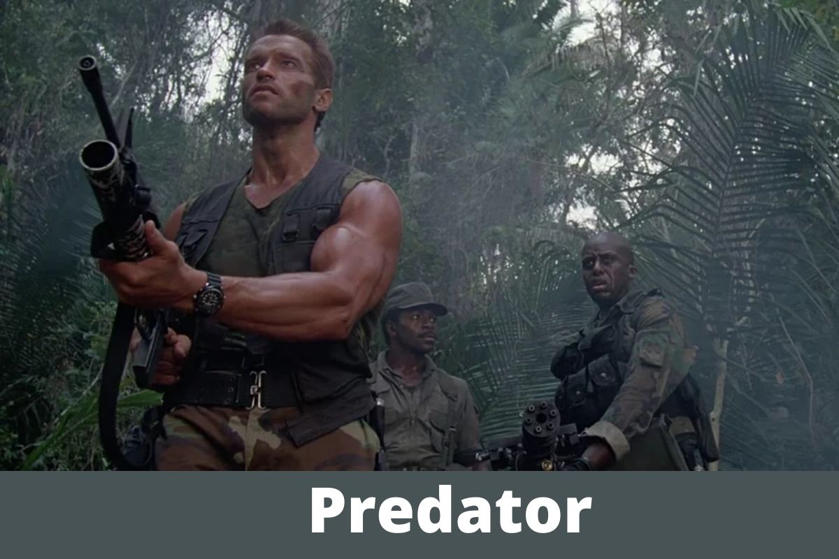 Predator