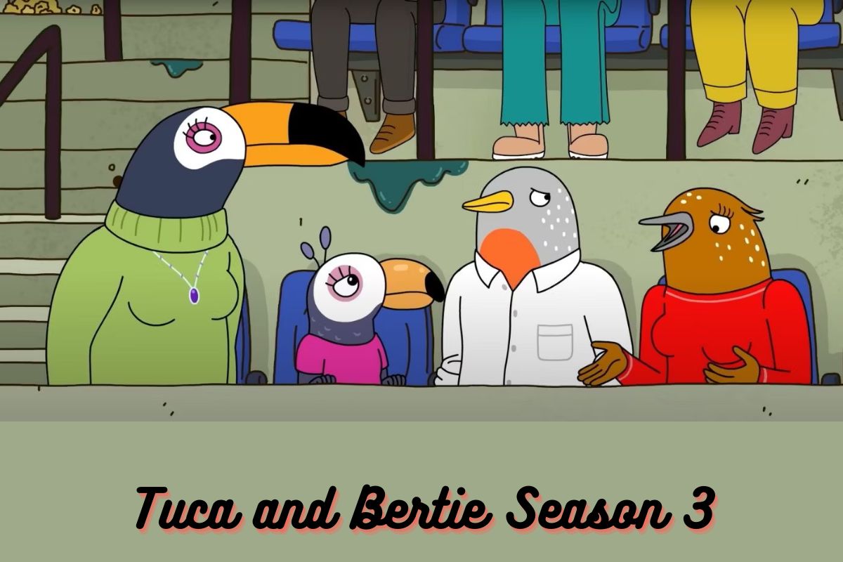 Tuca and Bertie Season 3