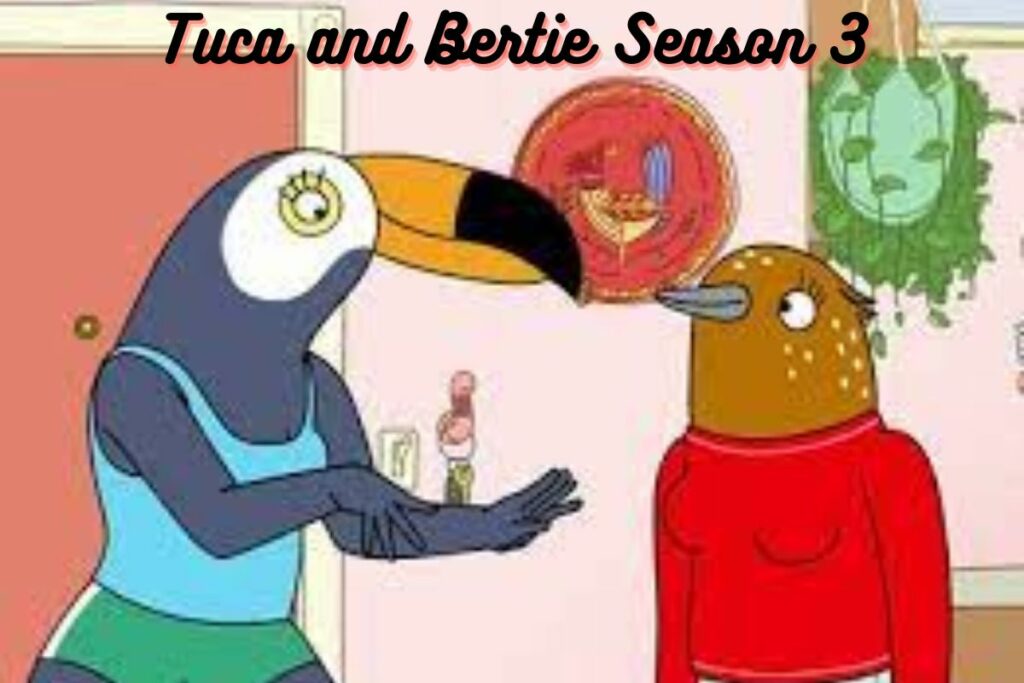 Tuca and Bertie Season 3