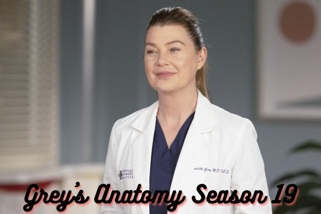 Grey's Anatomy Season 19