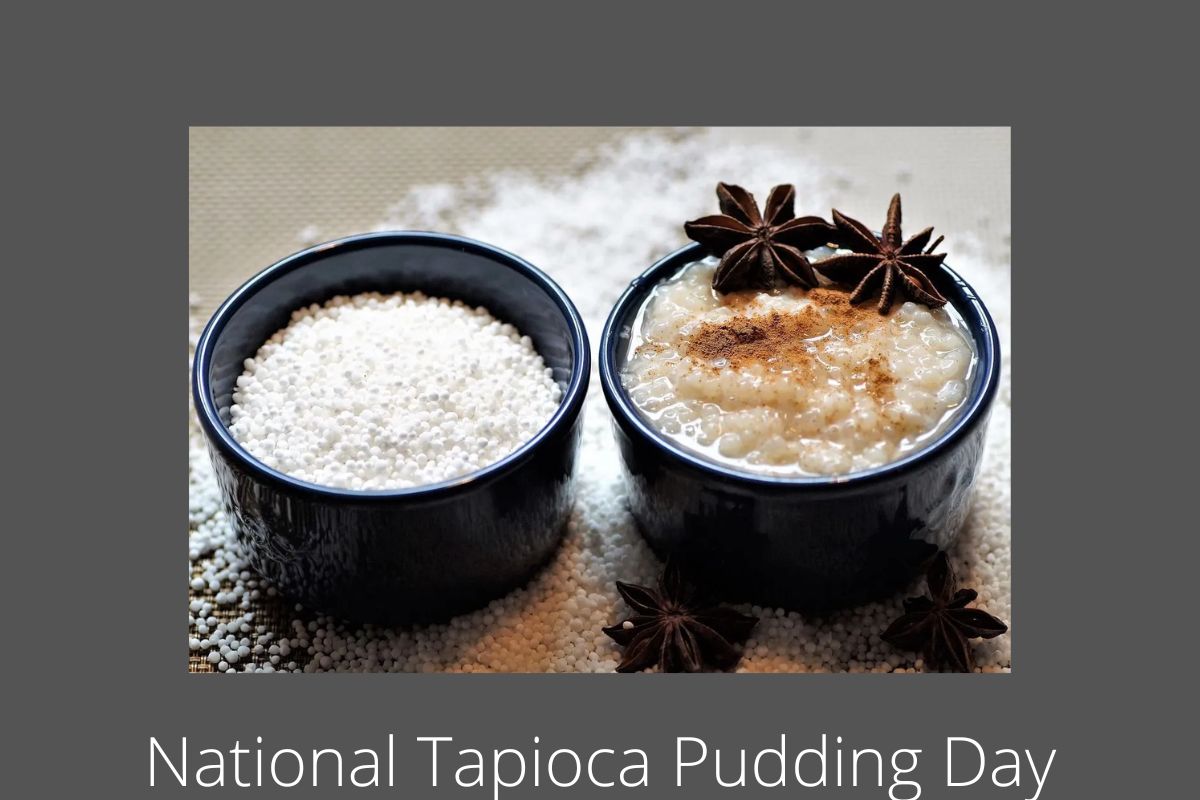 National Tapioca Pudding Day