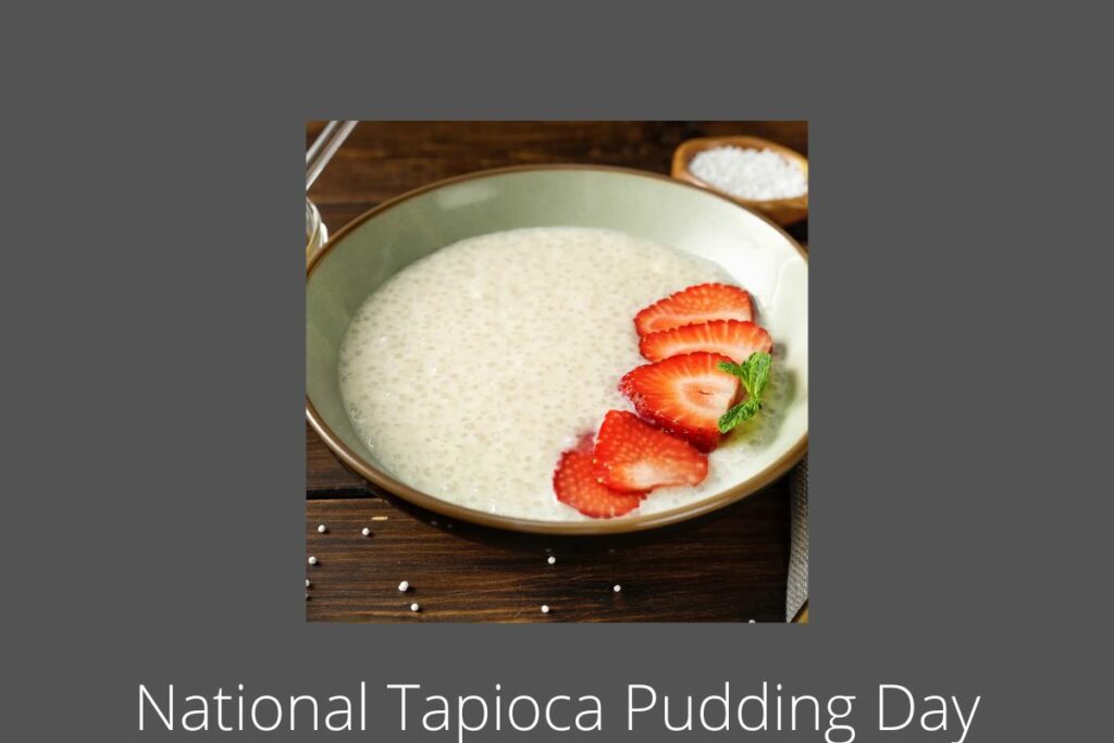 National Tapioca Pudding Day