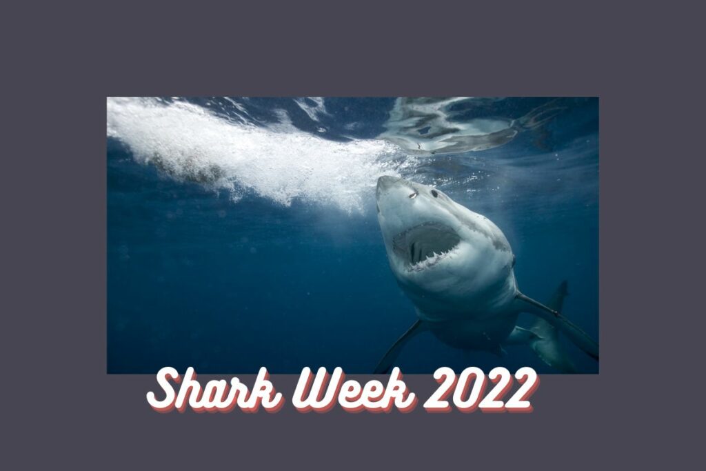 Shark Week 2022