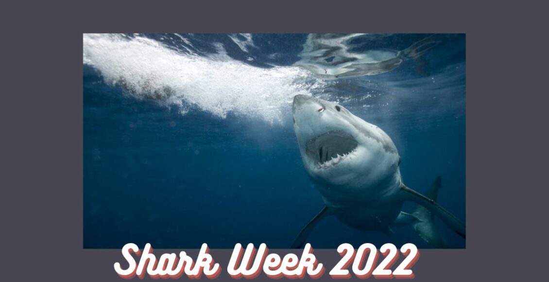 Shark Week 2022