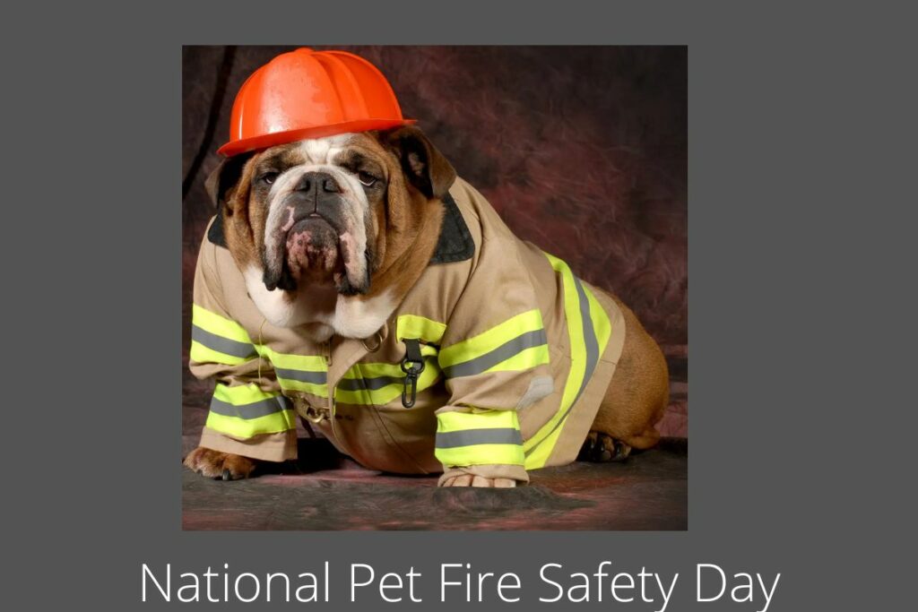 National Pet Fire Safety Day