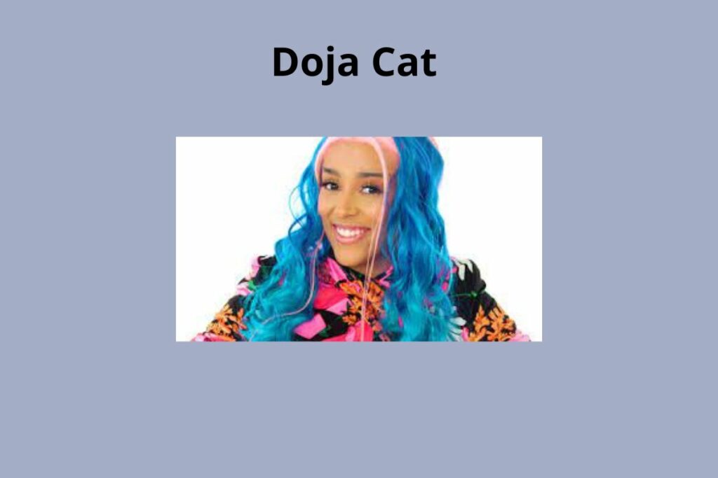 Doja Cat Net Worth