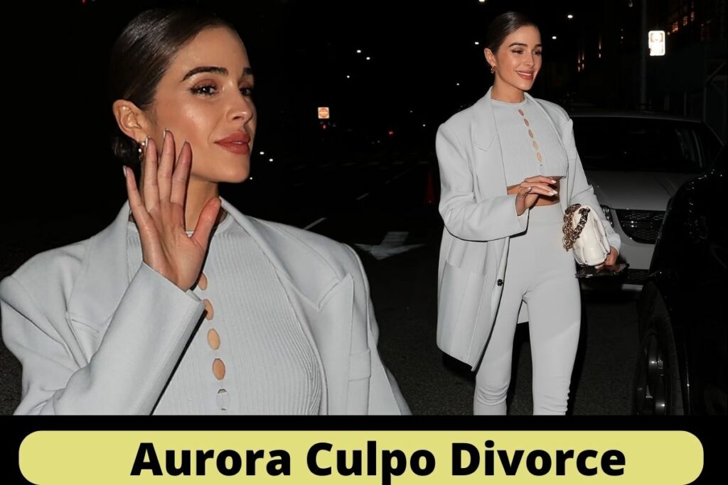 Aurora Culpo Divorce