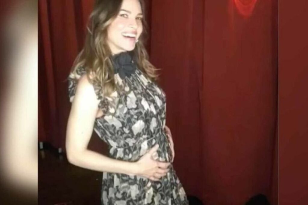 Hilary Swank is Pregnant with Twins