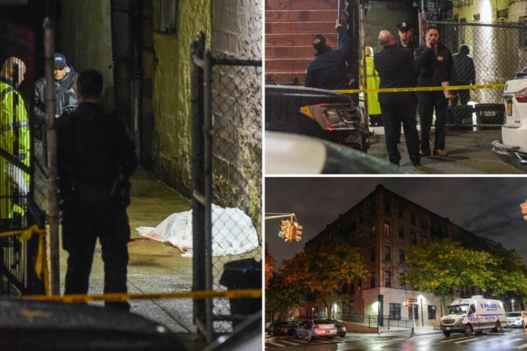 In an Apparent Murder-suicide in New York City