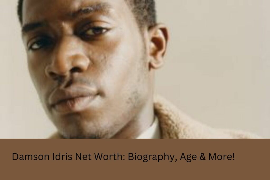 Damson Idris Net Worth