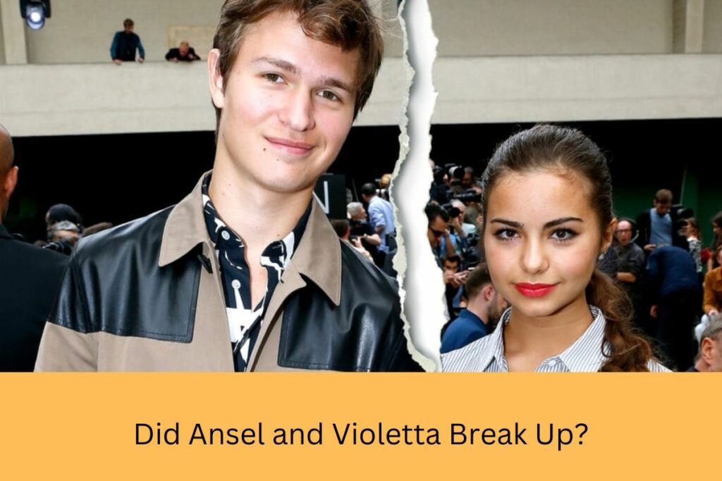 Did Ansel and Violetta Break Up