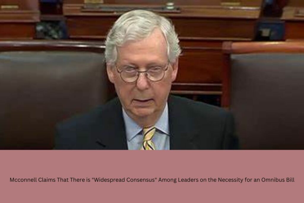 Mcconnell Claims That There is Widespread Consensus Among Leaders on the Necessity for an Omnibus Bill