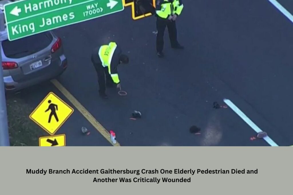 Muddy Branch Accident Gaithersburg Crash One Elderly Pedestrian Died and Another Was Critically Wounded