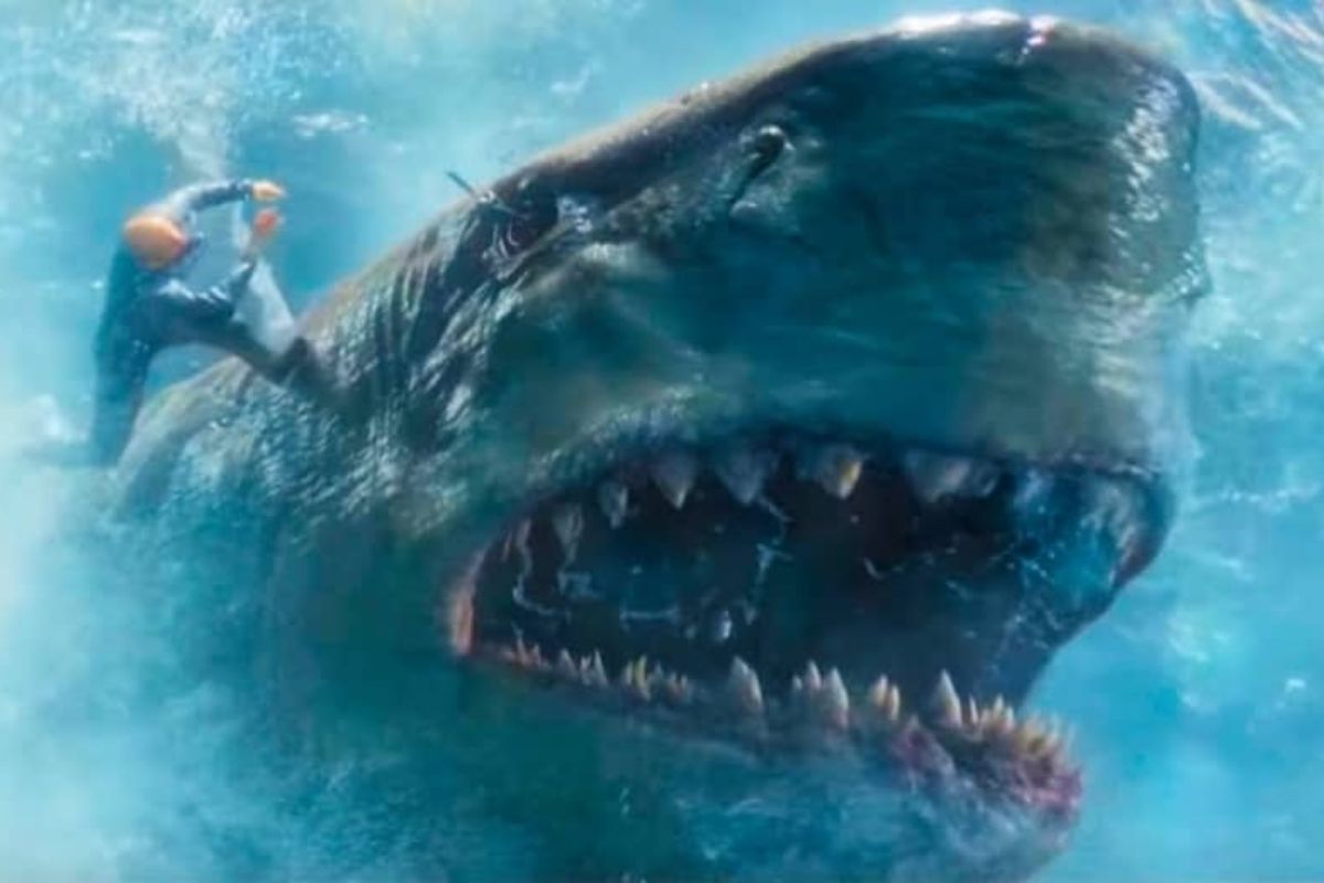 The Meg 2