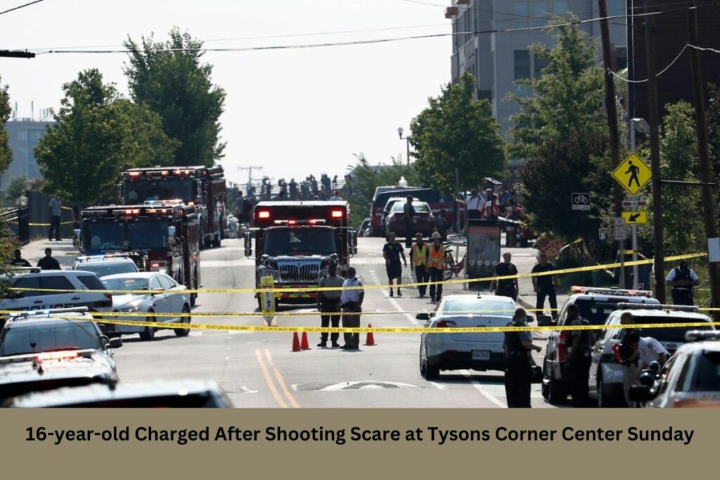 16-year-old Charged After Shooting Scare at Tysons Corner Center Sunday