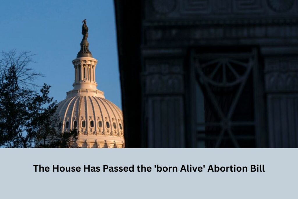 The House Has Passed the 'born Alive' Abortion Bill