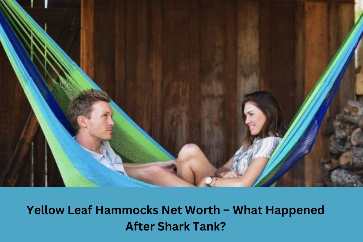 Yellow Leaf Hammocks Net Worth What Happened After Shark Tank?