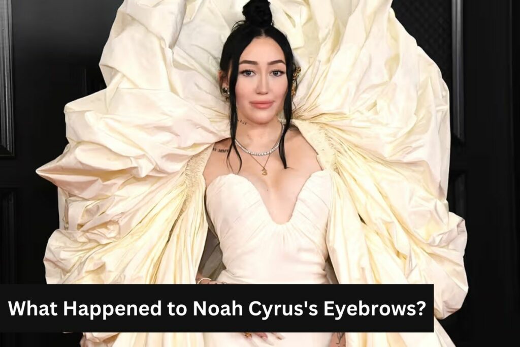 What Happened to Noah Cyrus's Eyebrows Everything Need to Know